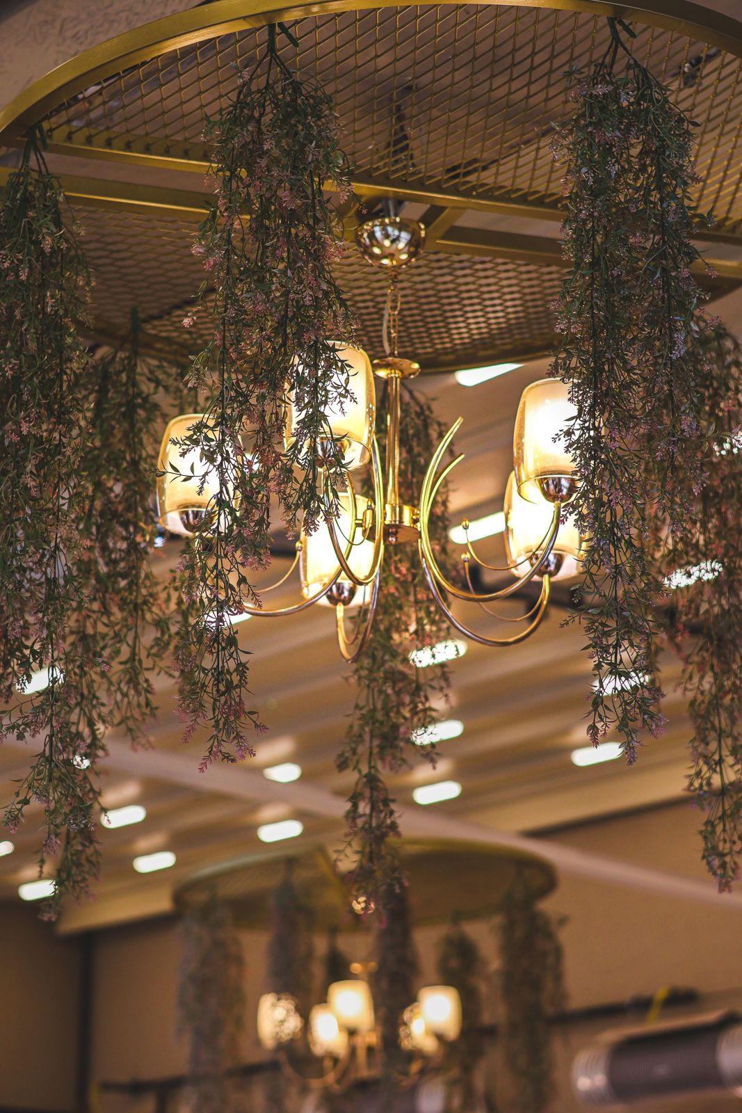 Brass chandelier with amber glass shades surrounded by trailing flowering vines